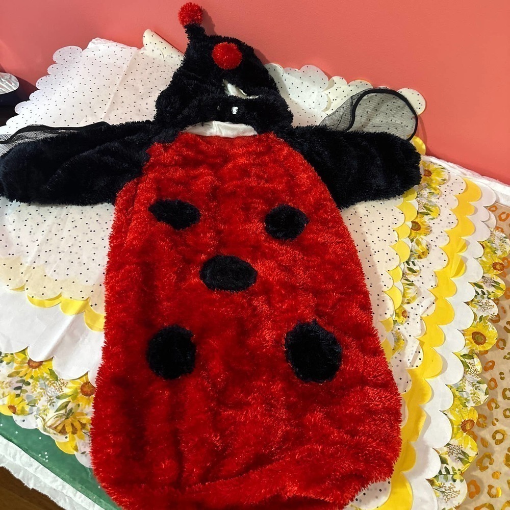 Lady bug Halloween costume